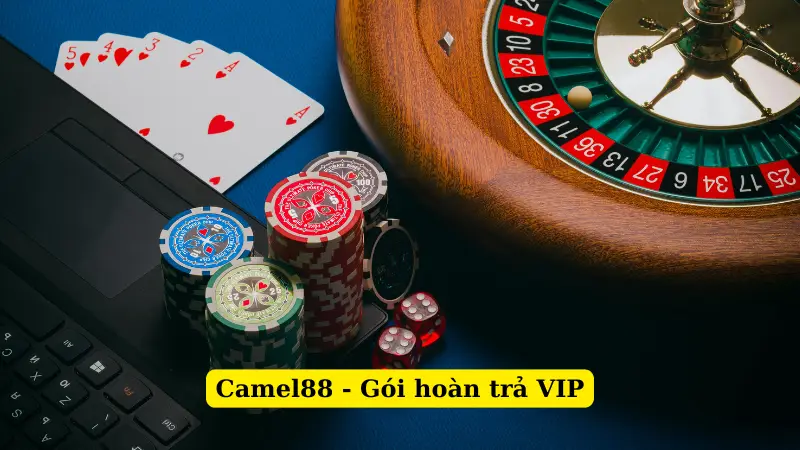 Camel88 - Gói hoàn trả VIP