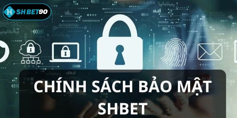 Chính sách bảo mật quy định phạm vi thu thập dữ liệu người dùng