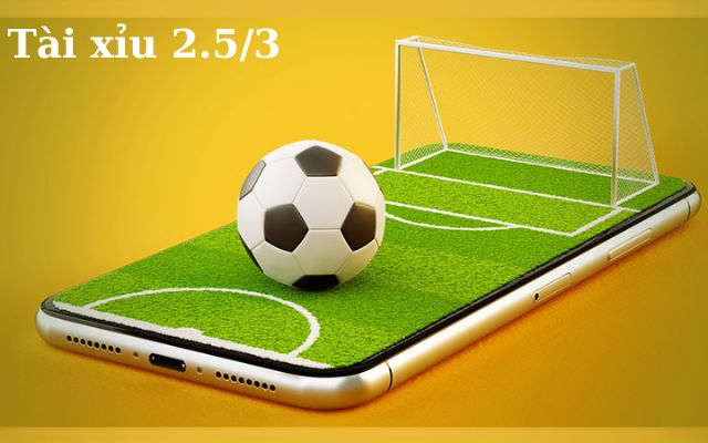 Tài Xỉu 2.5/3 Là Gì? Cách Đánh Tài Xỉu 2.5/ Hay Như Cao Thủ