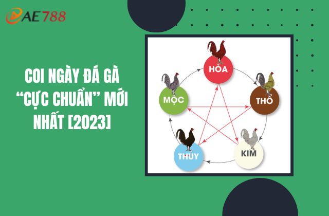 Coi Ngày Đá Gà “Cực Chuẩn” Mới Nhất [2023]