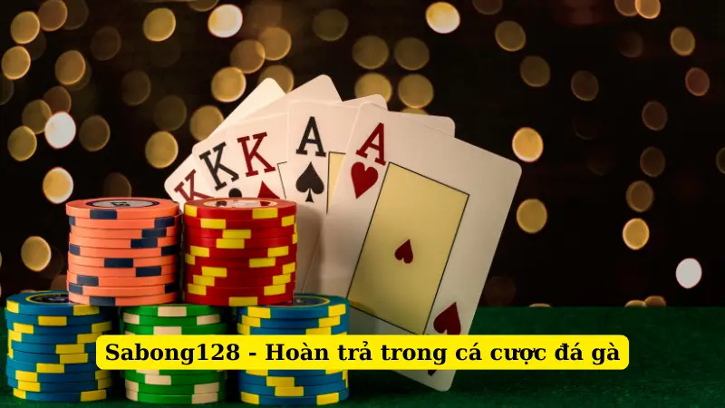 Sabong128 - Hoàn trả trong cá cược đá gà